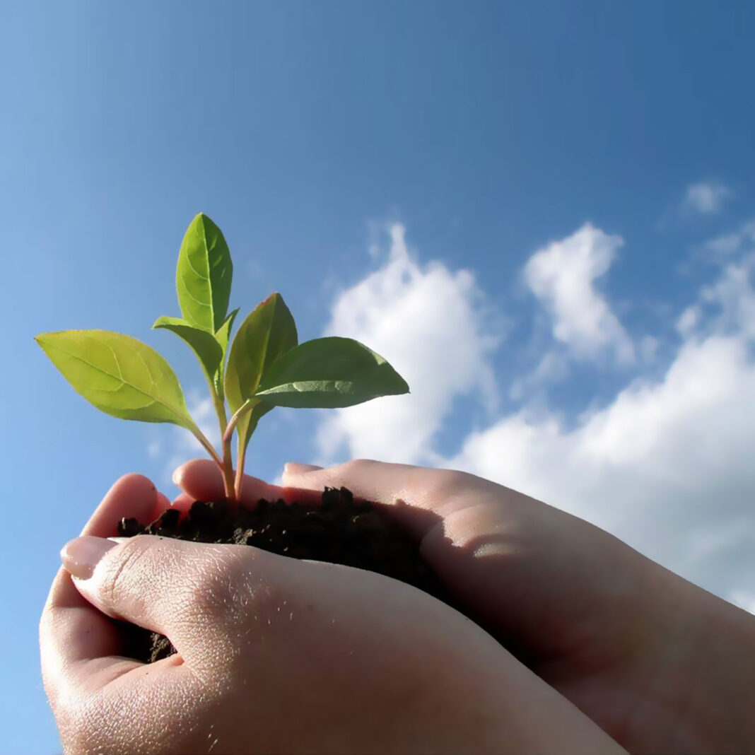 Hãy Nghĩ Đến Tương Lai