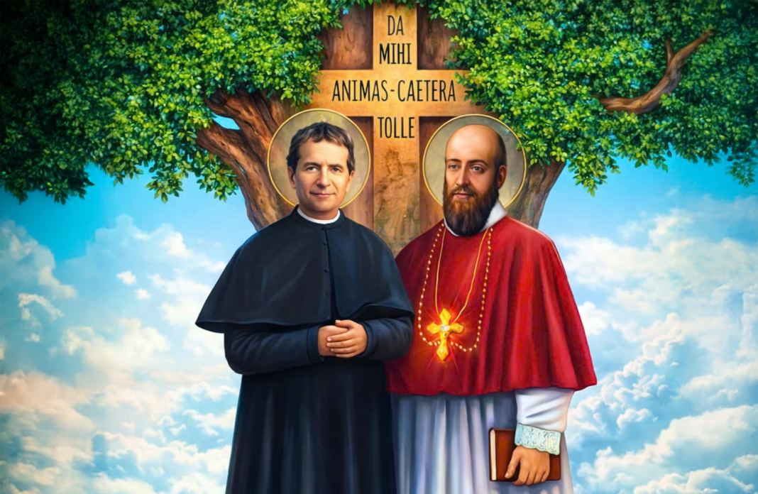 Tình Bạn Trong Thánh Thần